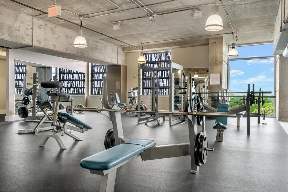 Allure Hermann Park 2